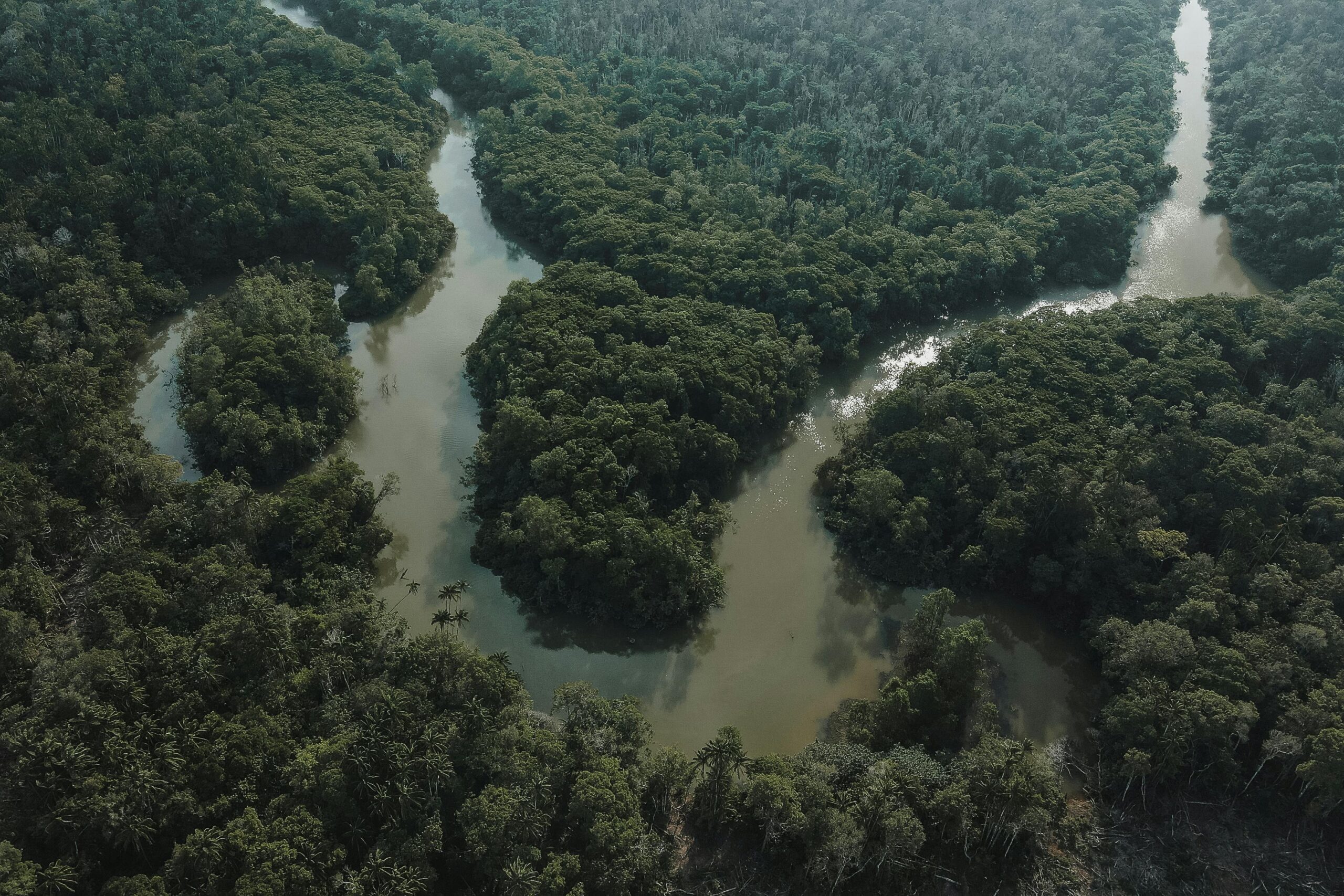 Amazonia - wyprawy do dżungli Peru
