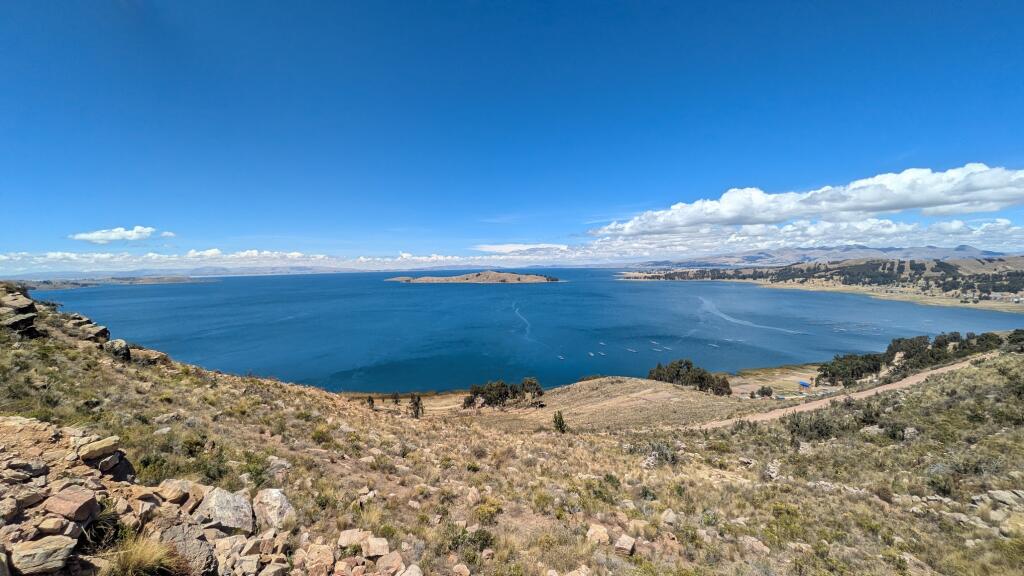 Dżungla amazońska i rzeka